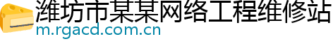 潍坊市某某网络工程维修站